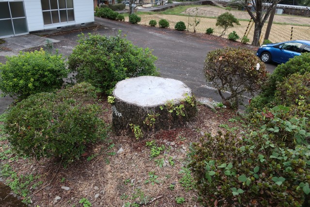 家地川駅 ホーム