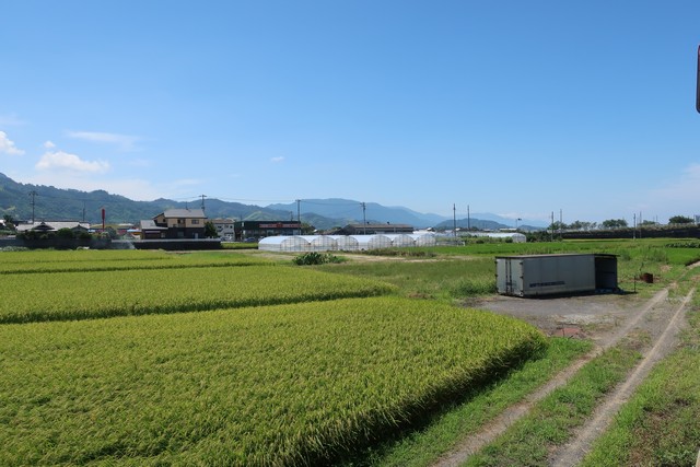 伊予横田駅 駅前