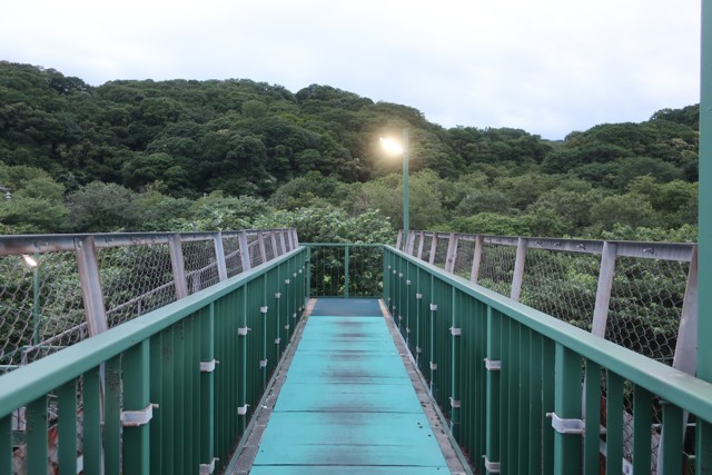 虎杖浜駅 ホーム