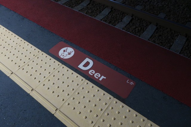 白老駅 ホーム