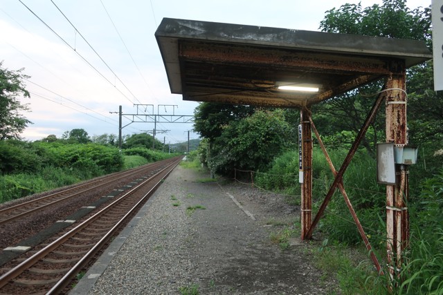 虎杖浜駅 ホーム