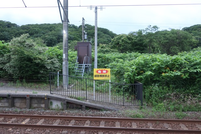 虎杖浜駅 ホーム