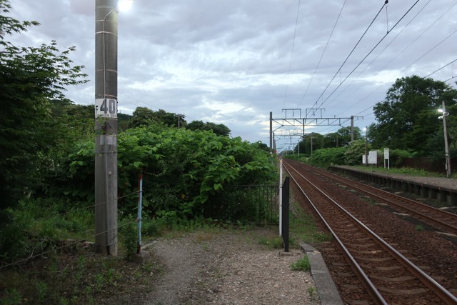 虎杖浜駅 ホーム