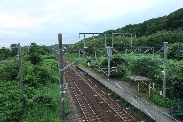 虎杖浜駅 ホーム