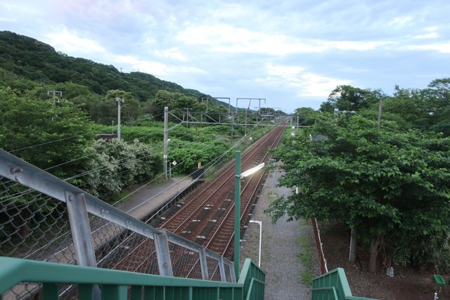 虎杖浜駅 ホーム